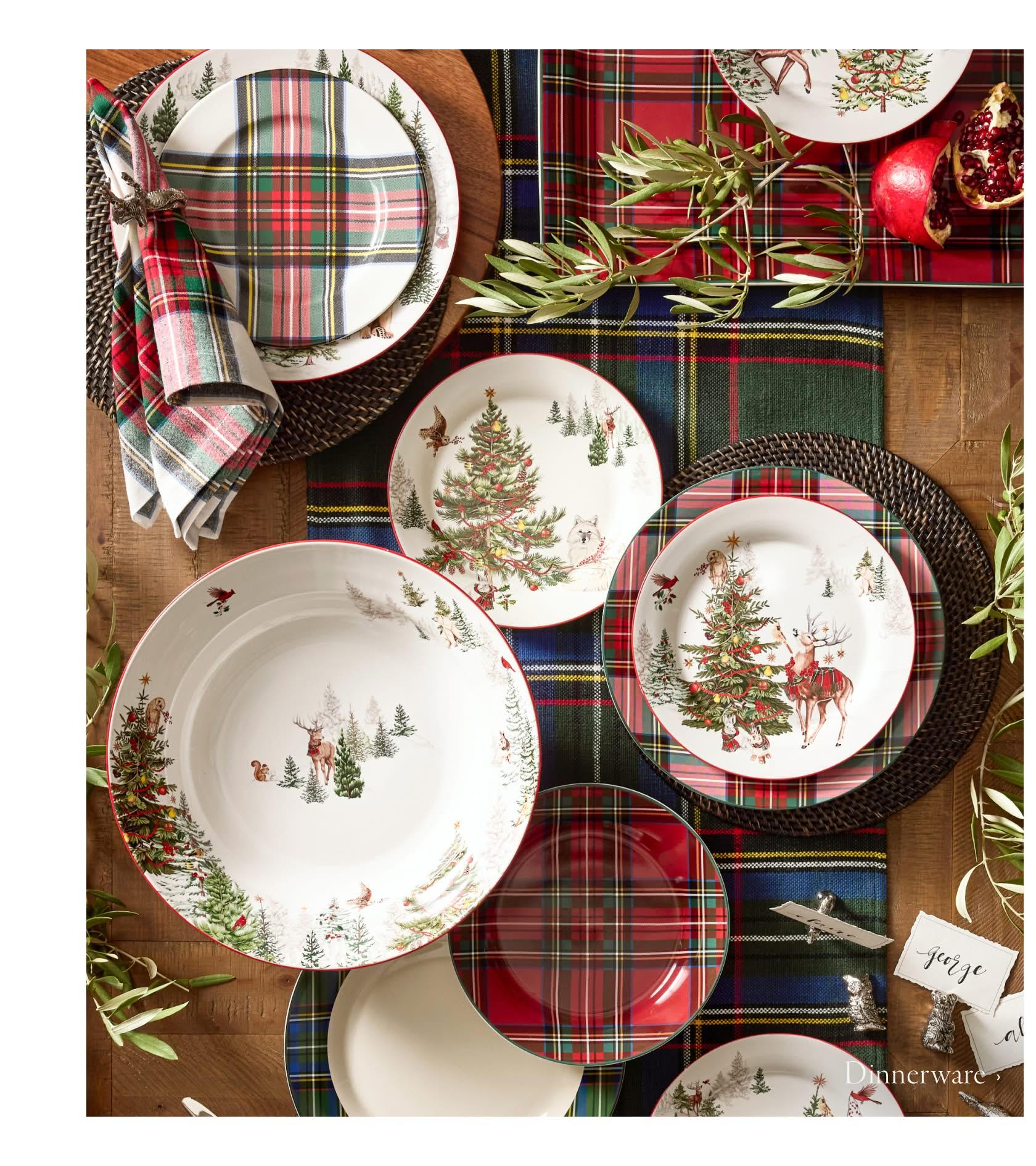 Shop Dinnerware